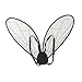 Colaxi Butterfly Wing Cosplay Costume for Women Girls, Novelty Fairy Wings, Princess Angel Elf Dress up Accessories for Performance Halloween Party Fashion Show