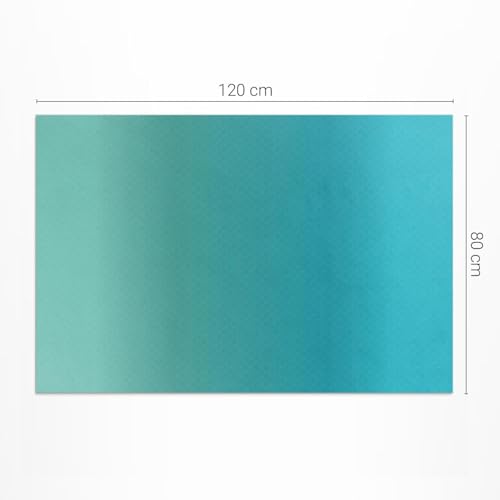 Tapis de sol vinyle anti-UV 80x120 cm pour protéger un sol de terrasse - 4