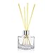 Feel Fragrance Glass Diffuser Bottles with Silver Caps Refillable Diffuser Bottles Set of 4-2.5