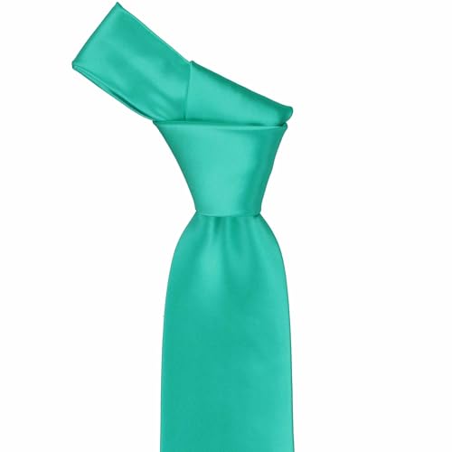 Image of tiemart Premium Solid Color Necktie