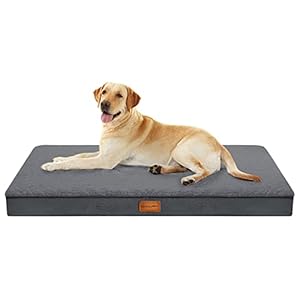 WAVVE Cama Perro Ortopédica Pequeño, Colchón Perro M Desenfundable y Lavable, Colchoneta Perro de Espuma de Caja de Huervos con Funda Impermeable (Gris 76x51x7,6 cm)