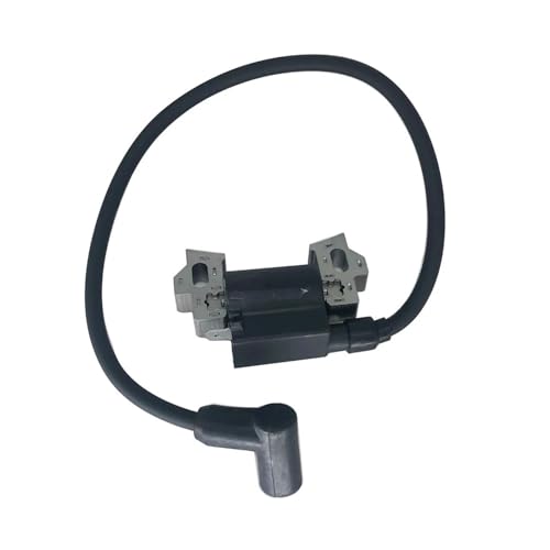 Bobine d'allumage G150 G200 pour réparer les moteurs de 5,5HP