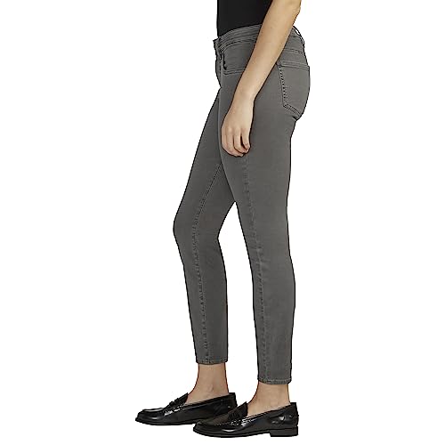 JAG Jeans Women's Cecilia Mid Rise Skinny Pants, Dark Charcoal, 02