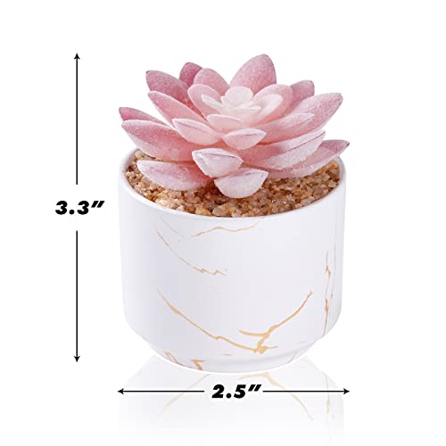 Zenida Succulent Artificial Plants,Cute Fake Succulents In 1 White Ceramic Pots,Small Fake Plants For Office,Table,Desk,Bathroom, Bedroom,Aesthetic Room Shelves Decor,Desk Decorations For Women Office #TOP4