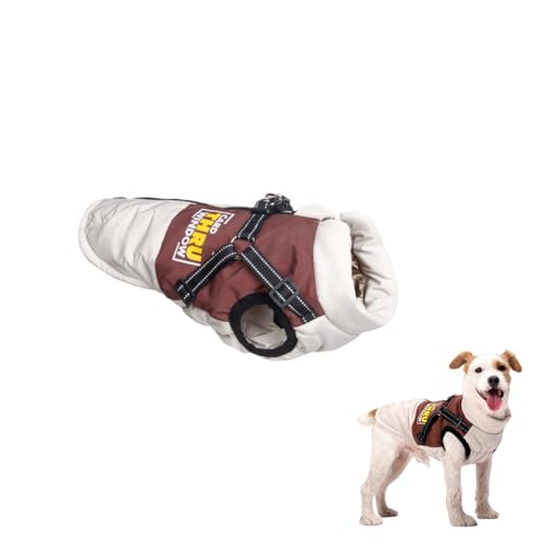  H~ hR[g OtF ȓ _E {Aӂӂ hhh n[lX JwEȒP ̌^Ή^SiΉU AEghA fpb`[N t@bVL (Cbh, XL)