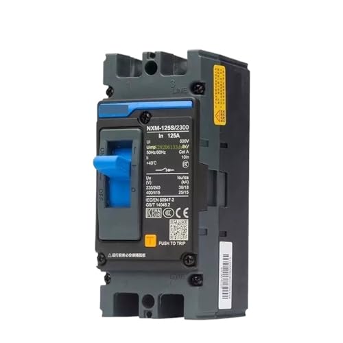 Disjoncteur MCCB NXM 2P 100A évite les surcharges et pannes de moteur