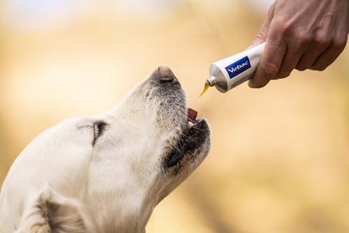 Virbac Nutri-Plus Gel | 120 g | Diät-Ergänzungsfuttermittel für Hunde & Katzen | Konzentrierter Energieträger