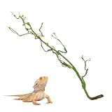 Reptilien Kletterranke,Geckos Dschungel Zweige für Terrarium