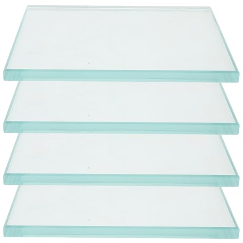 Palette dentaire en verre réutilisable plaque de mélange épaisse et lavable