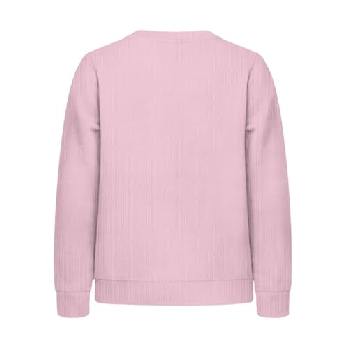 Girls and Toddlers' Sweaters Long Sleeve Sweaters Fall Clothes Casual Round Neck Pullover Sweaters Top 3-14T2