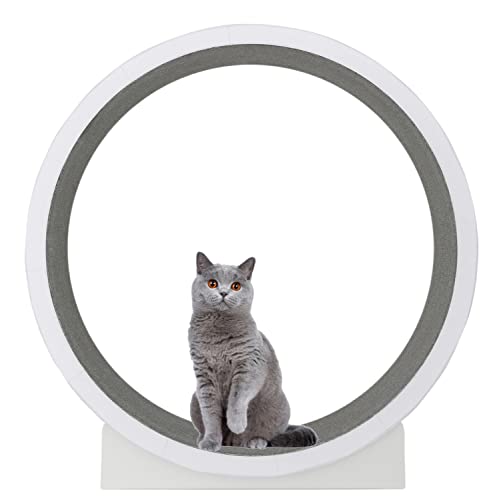 UIBAO Cat Wheel Treadmill for Indoor Cats