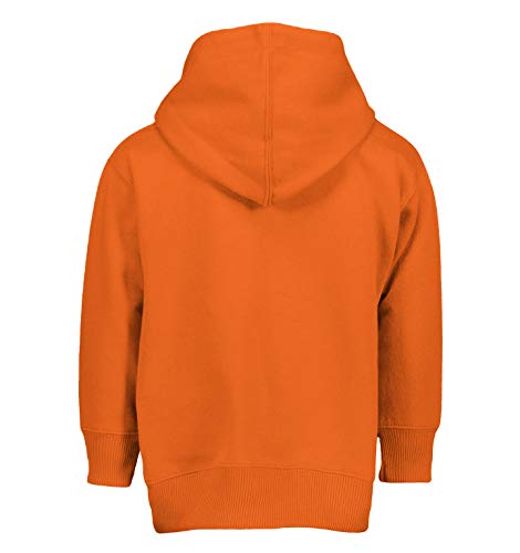 Haase Unlimited Nashville - Sports State City School Toddler/Youth Fleece Hoodie3