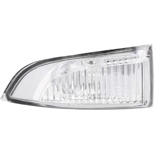 Easy Link Retrovisor Luce de Giro Izquierdo Intermitente Indicador Lateral Espejo Lado del Conductor Compatible con Renault Megane 3 III Coupe Fluence Scenic 3 Laguna 3 Coupe 261656470R