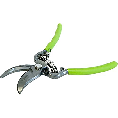 Rolson 82122 200 mm Secateurs