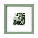 Egofine 8x8 Picture Frame Made of Solid Wood with Plexiglass, Display Pictures 4x4/6x6 with Mat or 8x8 Without Mat for Tabletop and Wall Mounting, Green