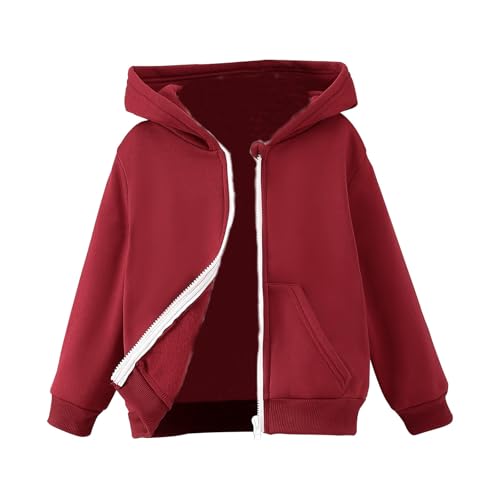 Girls and Toddlers' Fleece Zip-Up Hoodie Sweatshirt Crewneck Long Sleeve Trendy cute Clothes for Boys Comfortsoft