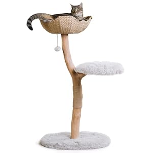 MAU LIFESTYLE Modern Wooden Cat Tree Tower – Single Branch Cat Condo, Cat Climbing Furniture, Gift for Cat Lovers – Bullet Gray