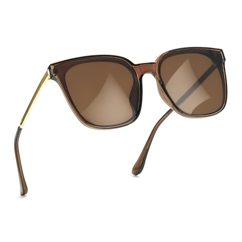 FancyPink Oversized Cat Eye Sunglasses for Womens Polarized Shades w UVProtection Trendy Fashion Sunglasses - Main Image