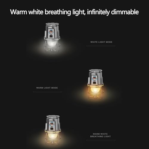 Lucario Camping Lights Rechargeable Lantern Battery Powered USB Stepless Table Lamp with Decorations Function for Garden Hiking Fishing Bedside Bedroom Living(LK-03)