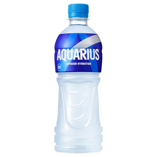 アクエリアス 500ml×24本 PET 選べる 定期便 愛媛県 西条市 (2回定期便)