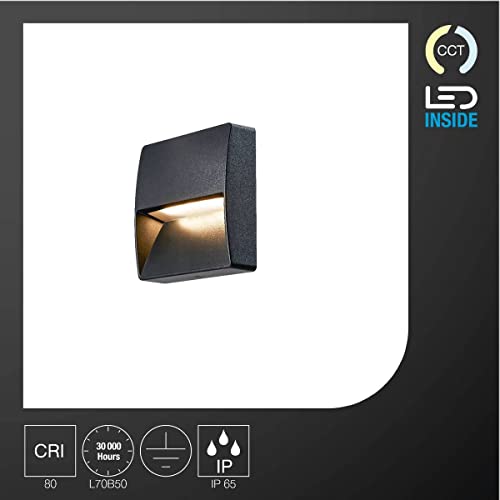 SLV Wall-Mounted Light DOWNUNDER Out/Illumination for Walls Paths, entrances, Built-in Outdoor Light - Image 3