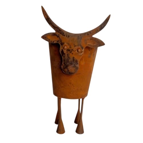 Pot de fleurs de table tête de bétail en fer marron rustique pour bureau - 6