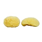 Neptune Natural Sea Silk Sponge 2pc Kit, Hand Cut, Medium, Approx. 2-3 inches, Ideal for Cosmetic Use and Facial Cleansing