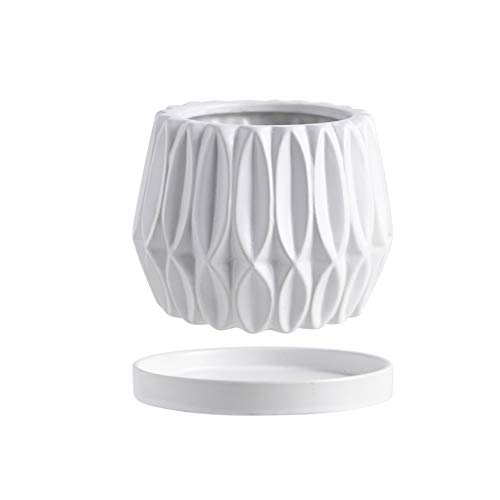 Pot de fleur en céramique mat pour cactus et plante verte d'intérieur