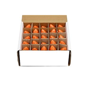 Creative Hobbies® Box of 25 Light Bulbs, Ceramic Opaque Orange, Steady Burning, 7 Watt Incandescent, C7 Candelabra Base - Great for Christmas Strings and Halloween Creative Hobbies Box of 25 Light Bulbs Ceramic Opaque Orange Steady Burning 7 Watt Incandescent C7 Candelabra Base Great for Christmas Strings and Halloween