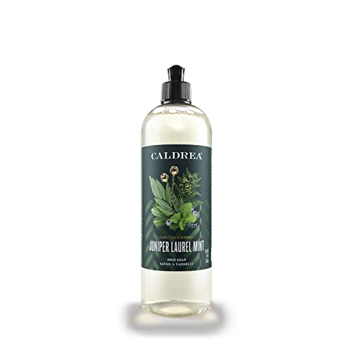 Caldrea Dish Soap, Biodegradable Dishwashing Liquid Made with Soap Bark and Aloe Vera, Juniper Laurel Mint Scent, 16 oz