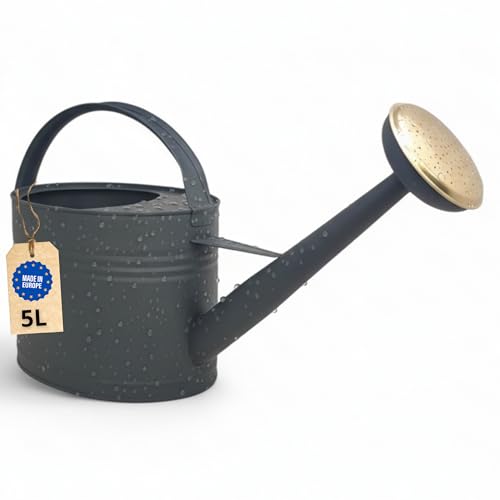 Livlig Arrosoir 5 Litres, Arrosoir pour Fleurs pour Jardin & Balcon, Arrosoir en Métal de Haute Qualité 5L en Métal Zingué et Douchette Détachable, Arrosoir Rétro...