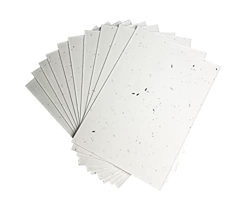 A5 Seeded Craft Paper 10 Sheets Mixed Wildflower Seeds 200GS