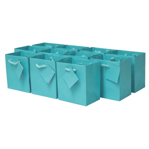 OccasionALL Turquoise Gift Bags 4x2.75x4.5 12 Pack Mini Gift Bags with Handles Teal Party Favor Bags Birthdays Jewelry & Holiday Gifts
