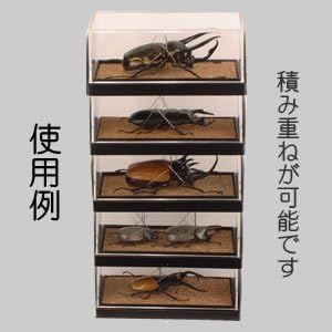 Amazon.co.jp: 【とてもお得な 2個セット】フジコン PREMIUM