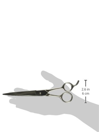 Image of Stainless Steel Economy Pet Curved Shears, 8-1 /4-Inch