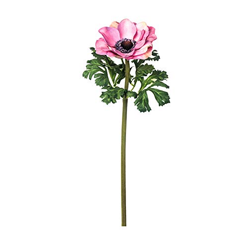 EUROCINSA Ref.57371C25 ANEMONA ROSA, Box of 12 Fuchsia, 39 cm
