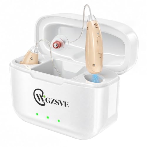 WGZSVE R12 Hearing Aids, Rechargeable Hearing Amplifiers Device
