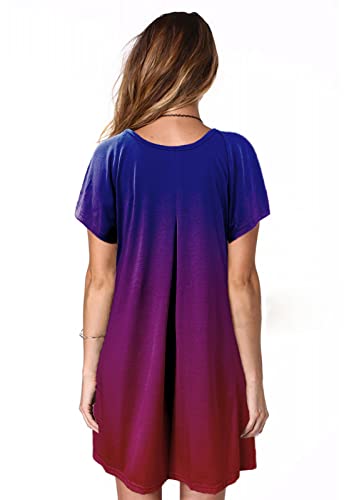 Image of Alaster Women's Casual Summer T Shirt Dress Loose Short Sleeve Tunic Dress with Pocket for Women