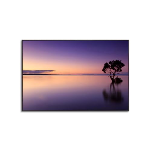 ?nCA oG A[gpl - vA  G CeA   Ǌ|  t[ A~gti? (60x90cmi24x36inj,A)