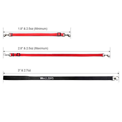 Wellbro 3 In 1 Durable Nylon Dog Leash With Padded Handle, Three- Way Pet Leash With A Coupler, Adjustable And Detachable, Lead For Small, Medium Dogs (Multi-Color) #TOP5