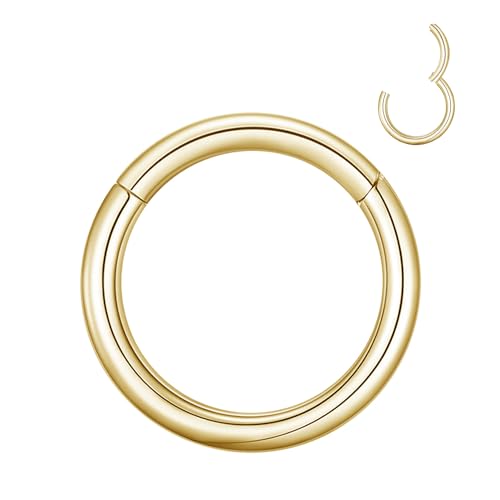MissNity 2G 4G 6G 8G 10G 12G Clicker Rings 316L Surgical Steel Hinged Segment Hoop for Septum and Cartilage Earlobe Piercings, Diameter 10mm 12mm 14mm