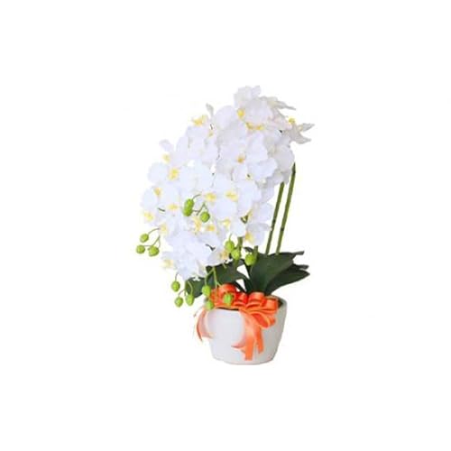 造花 シルクフラワーの胡蝶蘭の鉢植 5本立 CT触媒 ホワイトイエロー / お花 コチョウラン 埼玉県