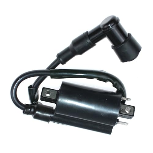 Bobine d'allumage à haute tension stable pour 74255