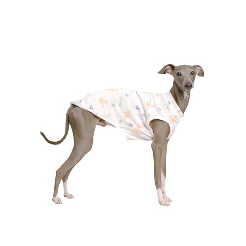 TVc Ȃ m[X[u C^O C^A O[nEh ׃hgeA EBybg   TVc C^O  ~js  C^AO[nEh EBybg xhgeA