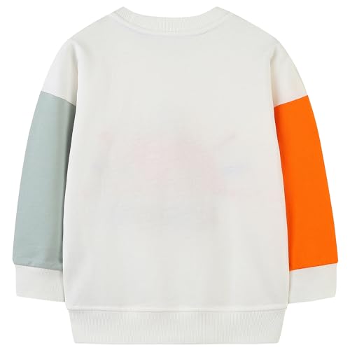 AIWUHE Toddler Sweatshirt Boys Girls Crewneck Pullover Tops Blouse Long Sleeve Cotton T-Shirt Fall Winter Clothes 2-6Y2