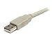 StarTech.com (USBEXTAA_6) 1,8m (6 ft) USB 2.0 Extension Cable A to A - M/F