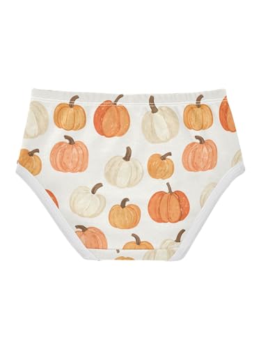 ZZKKO Watercolor Pumpkins Girls Underwear Toddler Panties for Girls Comfort Brief Size 2-8T2