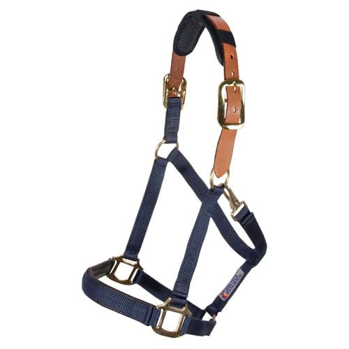 Schneiders Dura-Tech Comfort Plus Nylon Breakaway Halter for Horses