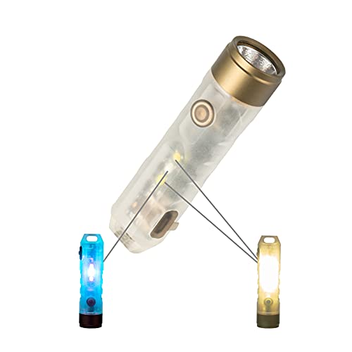 RovyVon Aurora A5x 7075 Orange Peel Reflector LED Keychain Flashlight, 650 High Lumens Super Bright with Mini Size,8 Mode,Waterproof,Micro USB Rechargeable,Gift for EDC Camping Emergency (Sky Blue)…