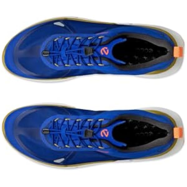 ECCO Мужские кроссовки Biom 2.2 BreathruTrainer